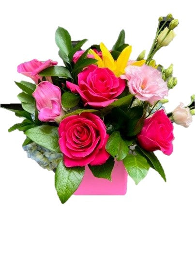Pink Posy