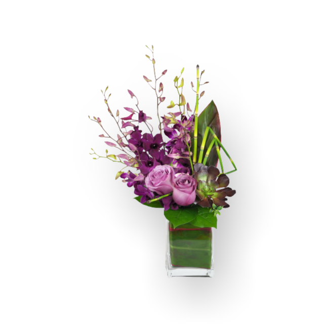 Orchid Jewels
