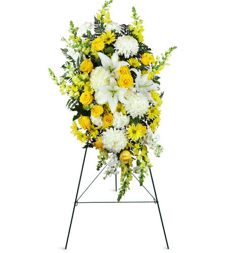 Golden Slumber for Sympathy