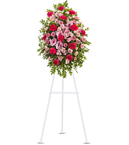 Pink Tribute