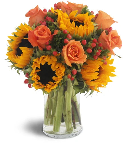 Sweet Harvest Sunflowers