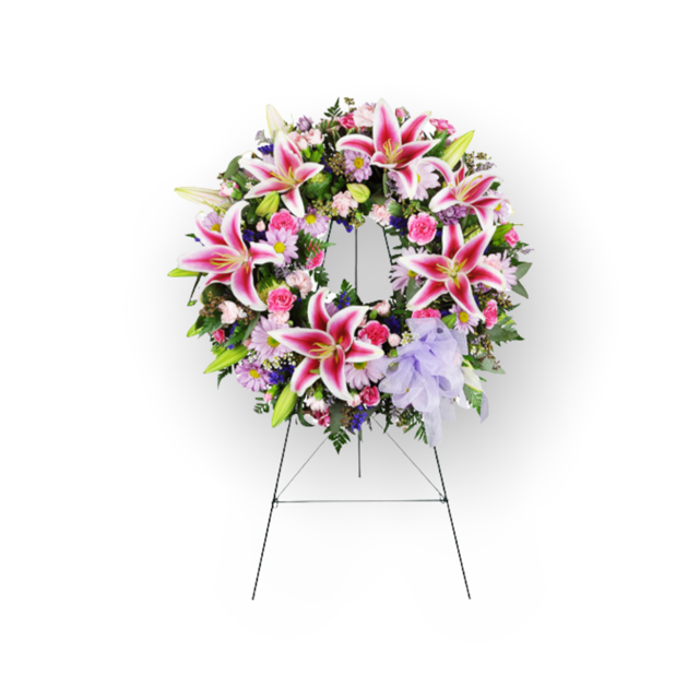 Stargazer Sentiments