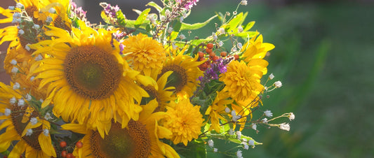 What Are Composite Flowers? How They Work and Why They Matter