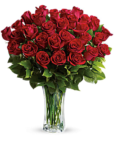 Teleflora's Love and Devotion- Long Stemmed Red Roses-Passionate red rose bouquet for romantic anniversaries, symbolizing enduring love