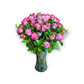 3 Dozen Roses